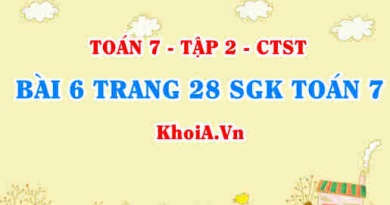 Bài 6 trang 28 SGK Toán 7 tập 2 Chân trời sáng tạo